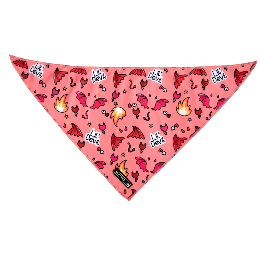 Big & Little Dogs Lil Devil Bandana