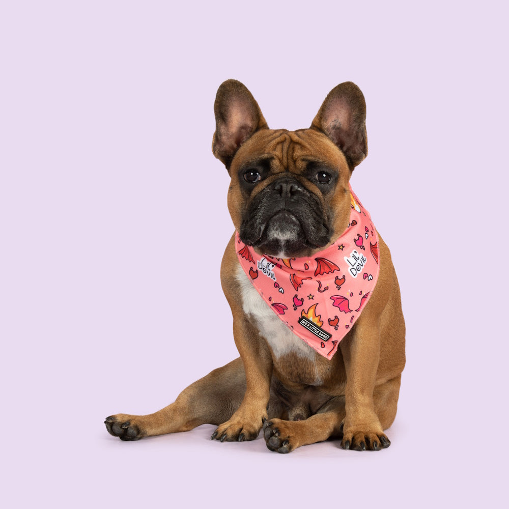 Big & Little Dogs Lil Devil Bandana