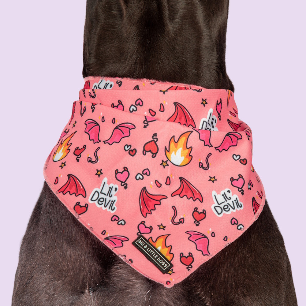 Big & Little Dogs Lil Devil Bandana