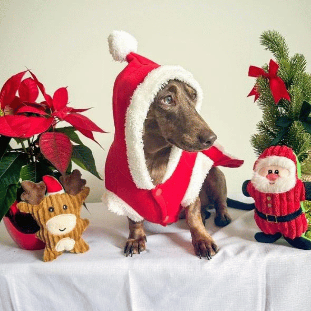 Reindeer Plush Dog Toy