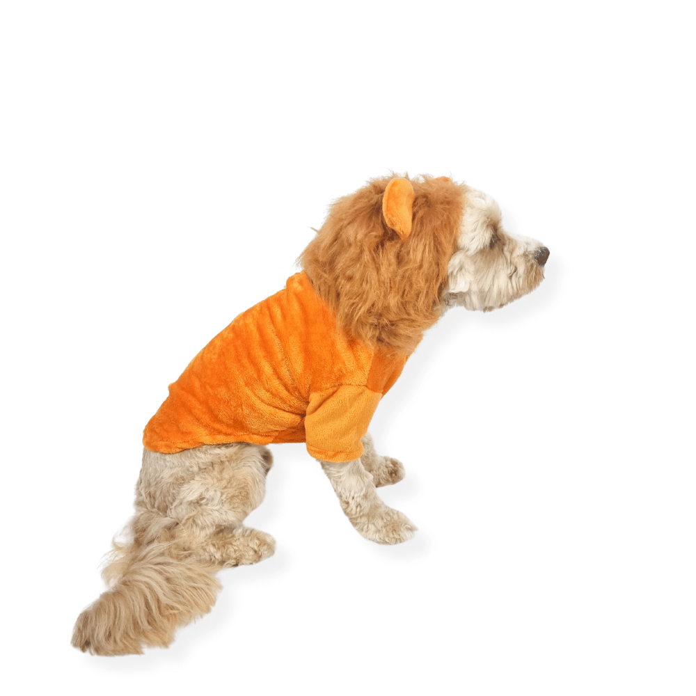 Lion Dog Costume - Medium - Large Dogs