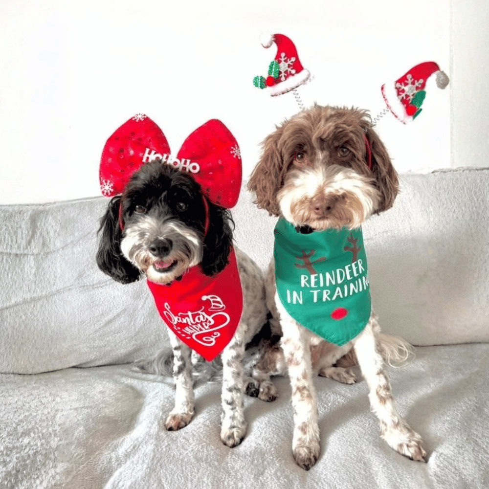 Reindeer in Training Dog Bandana