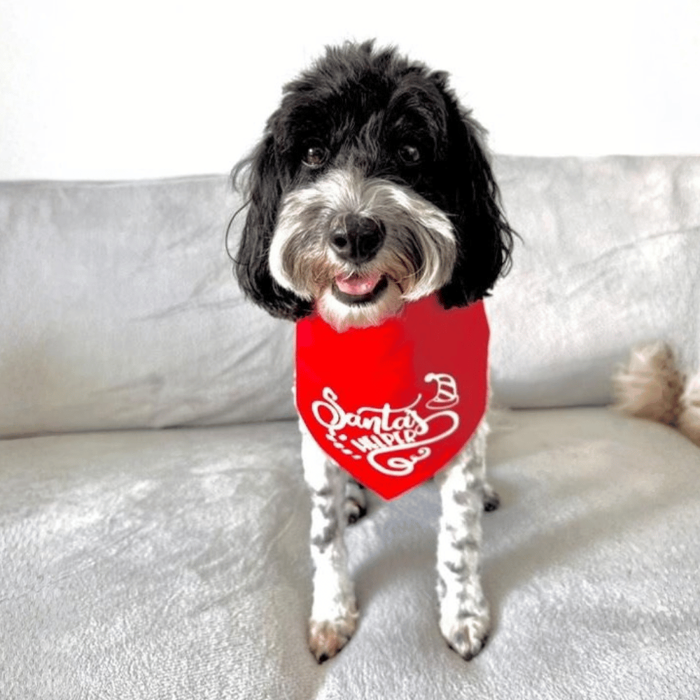 Santa's Helper Dog Bandana