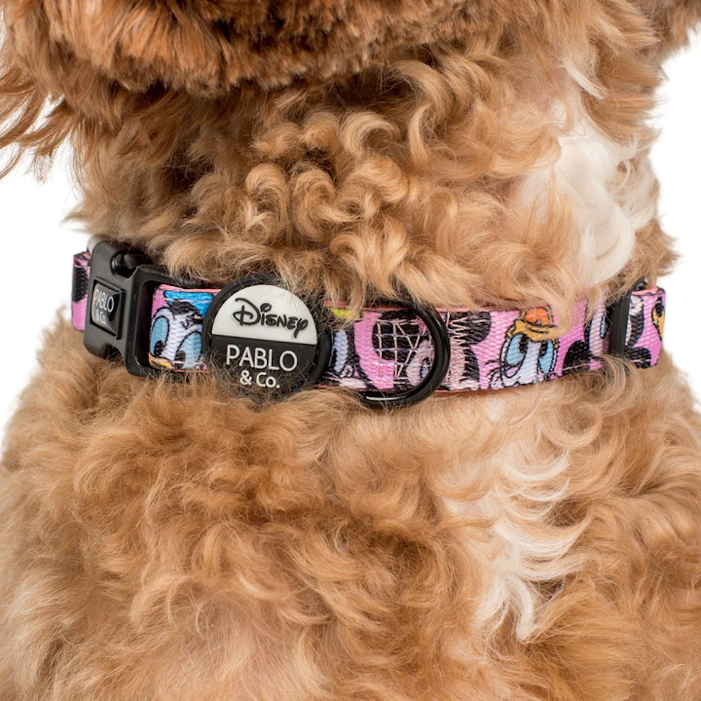 Pablo & Co Mickey & Friend: Dog Collar Pink