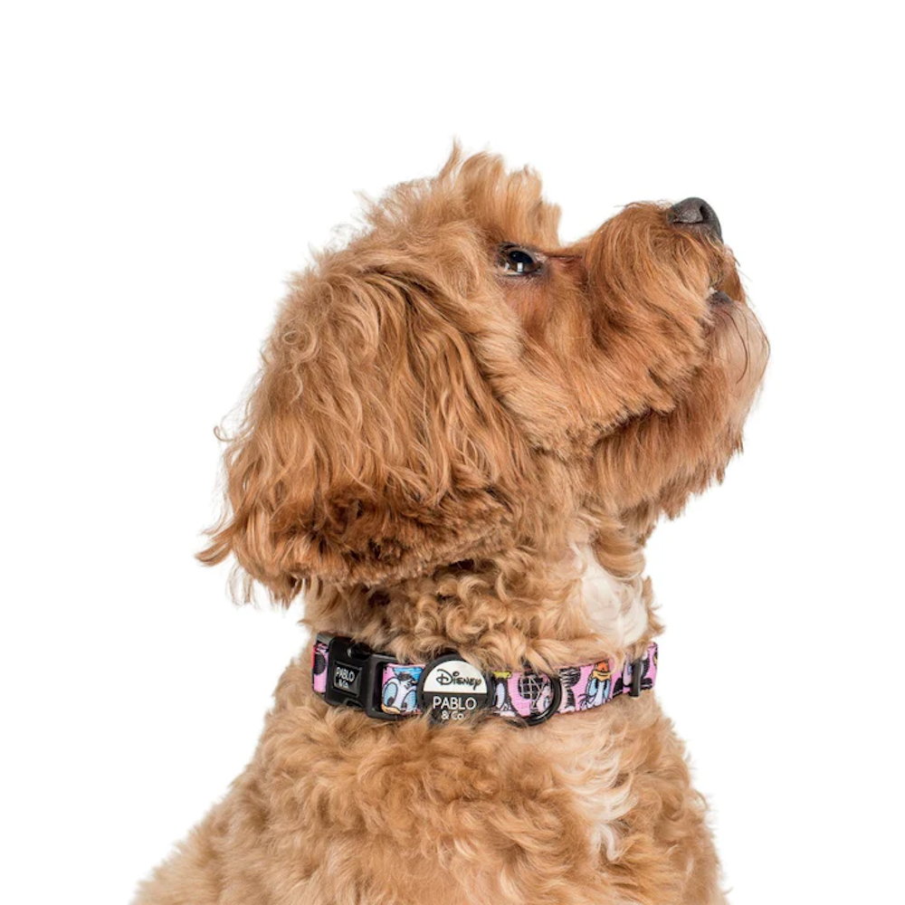 Pablo & Co Mickey & Friend: Dog Collar Pink