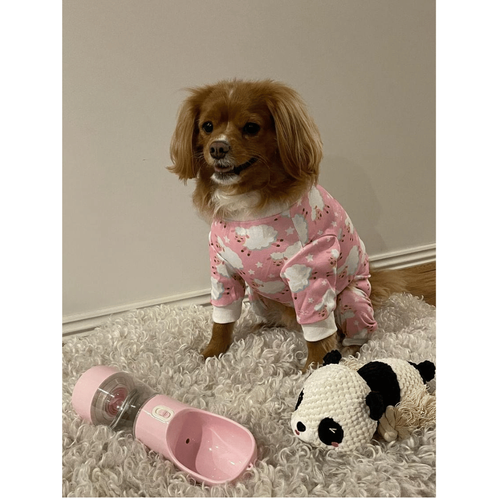 Penny Panda Rope Squeaker Toy