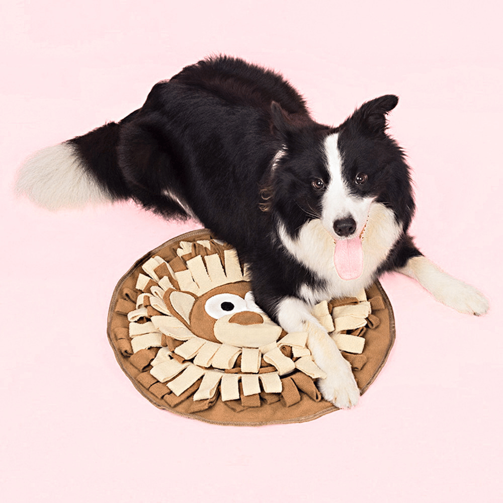 Monkey Snuffle Mat