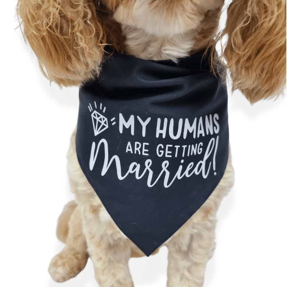 My Humans are Getting Married! Dog Wedding Bandana
