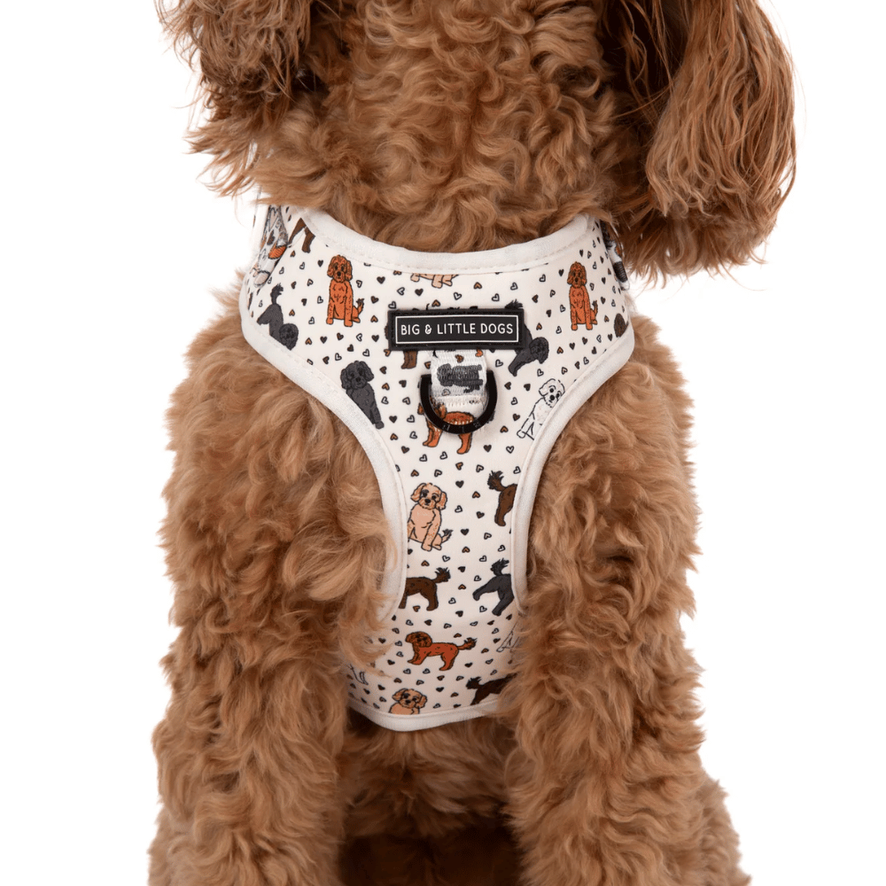Big & Little Dogs Adjustable Harness: Oodles of Love