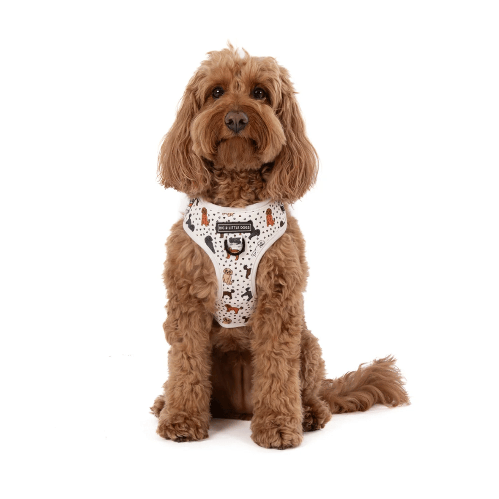 Big & Little Dogs Adjustable Harness: Oodles of Love