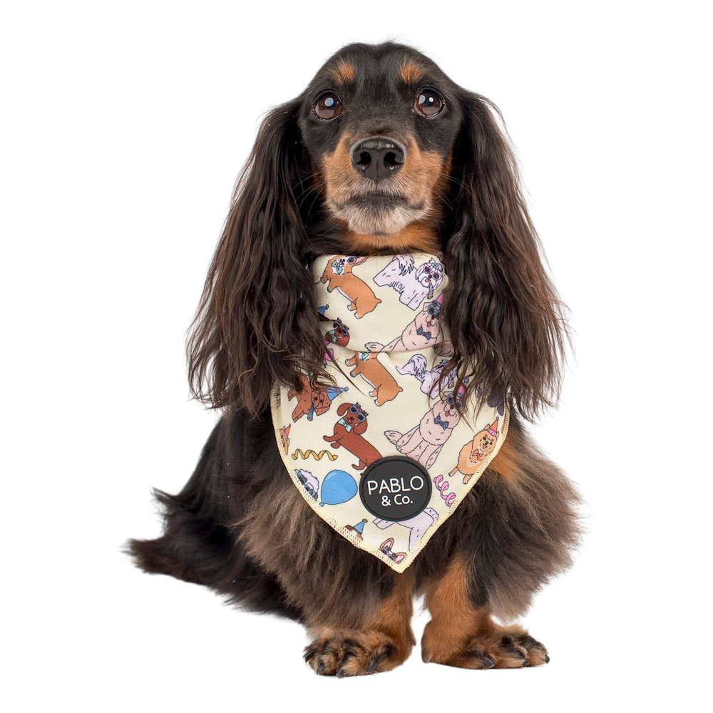 Pablo & Co Party Dawgs Bandana