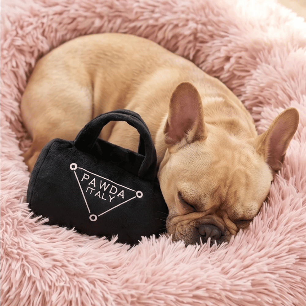 Pawda Handbag Dog Toy