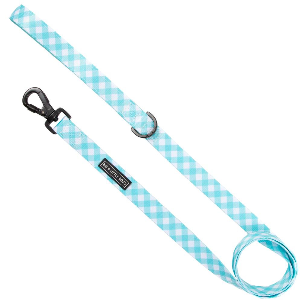 Big & Little Dogs Dog Leash - Peppermint Gingham