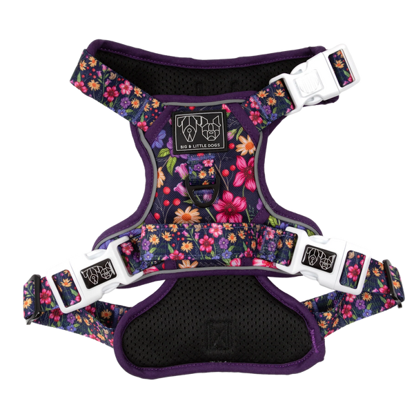 Big & Little Dogs Petal Paradise All Rounder Harness