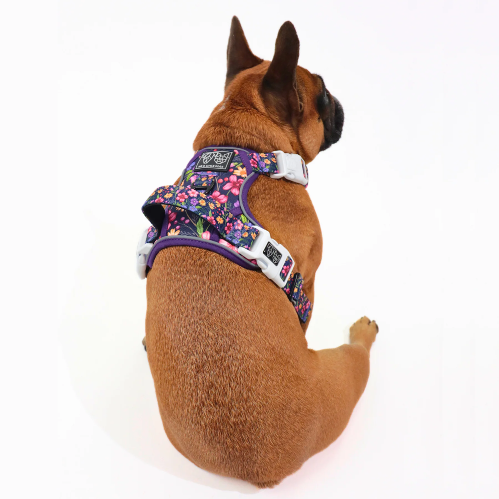 Big & Little Dogs Petal Paradise All Rounder Harness