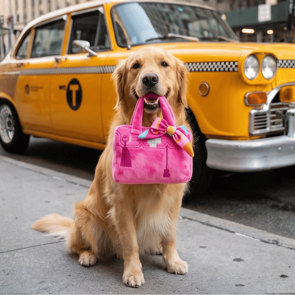 Pink Barkin Bag - With Scarf Dog Toy