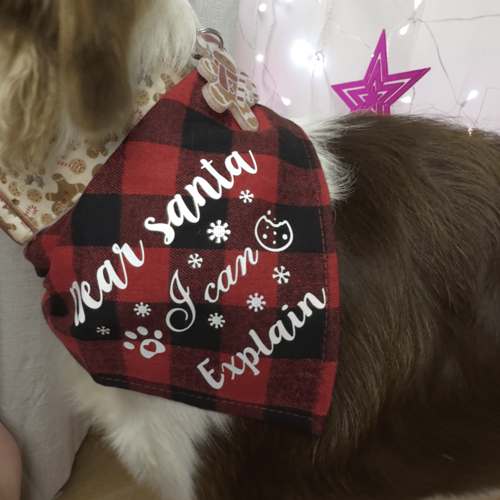 Dear Santa I Can Explain Red Plaid Bandana