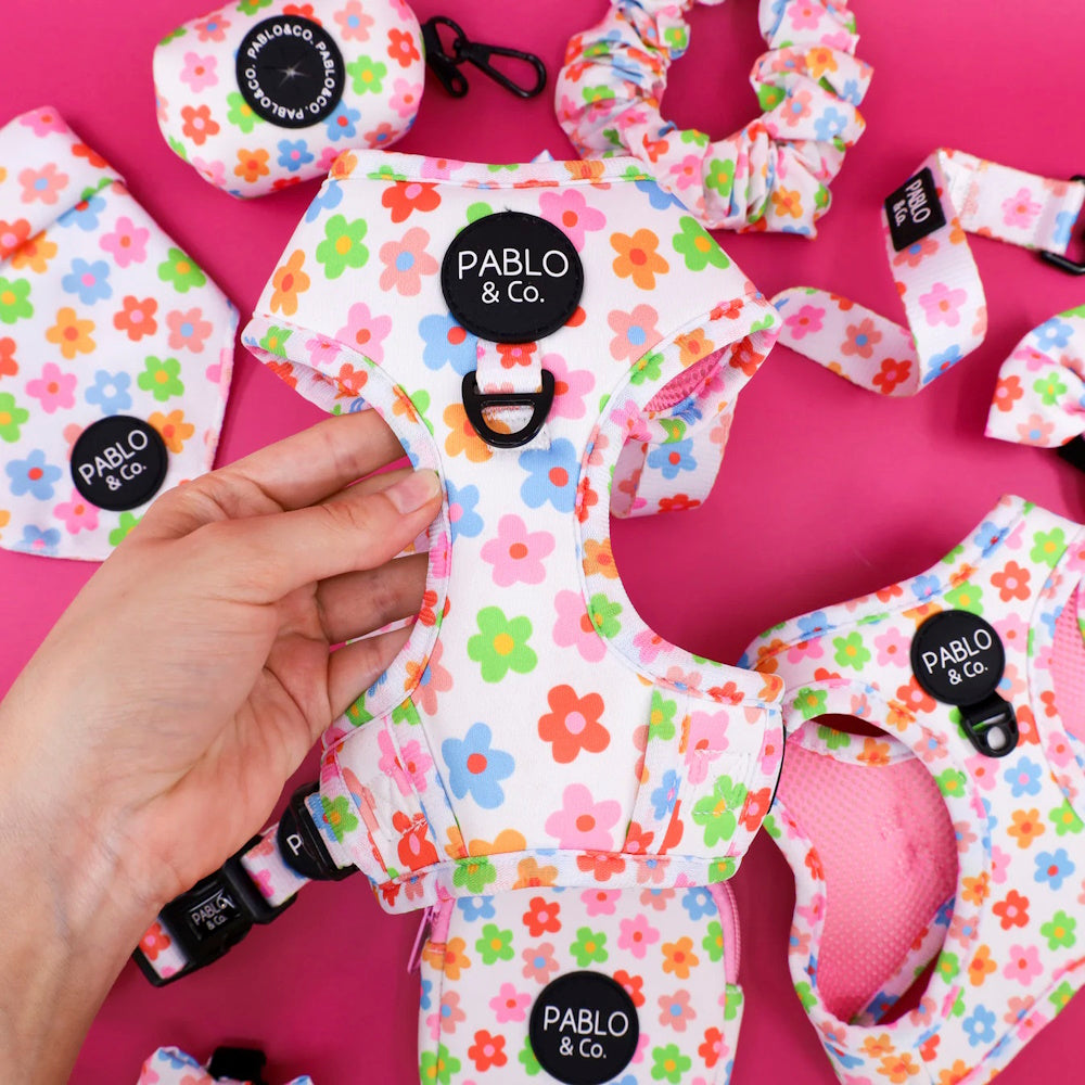 Pablo & Co Posey Adjustable Harness
