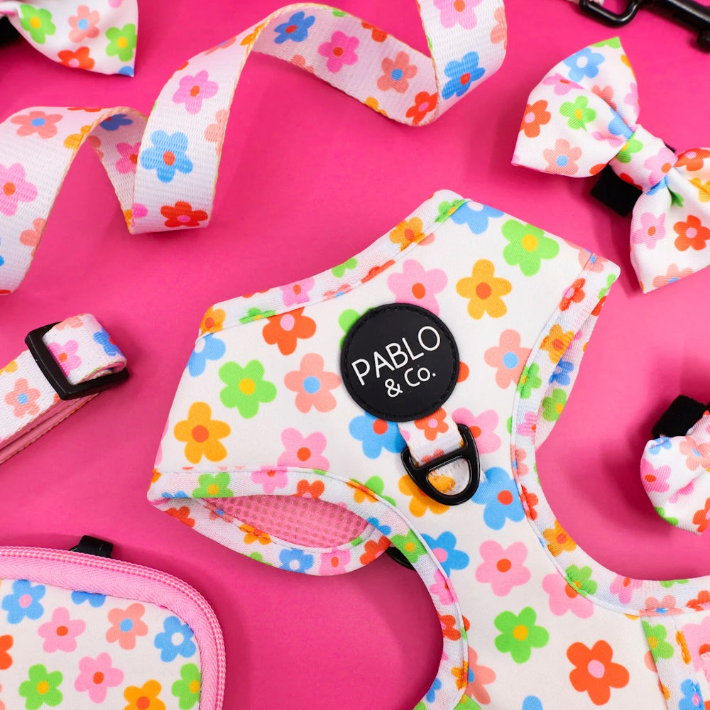 Pablo & Co Posey Adjustable Harness