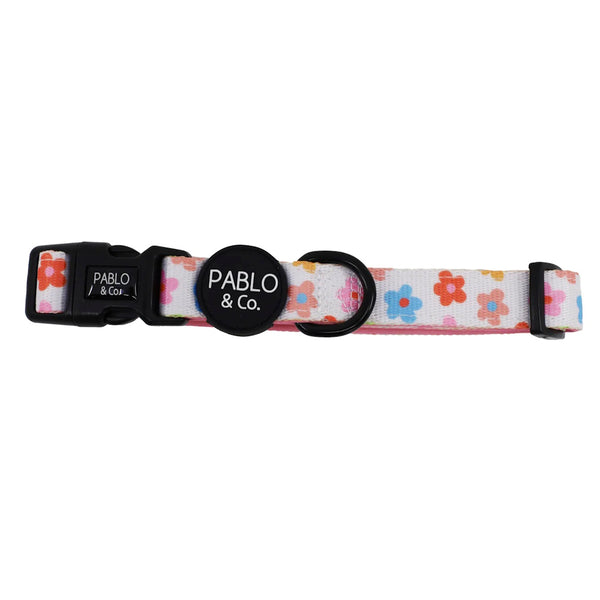 Pablo & Co Posey Dog Collar