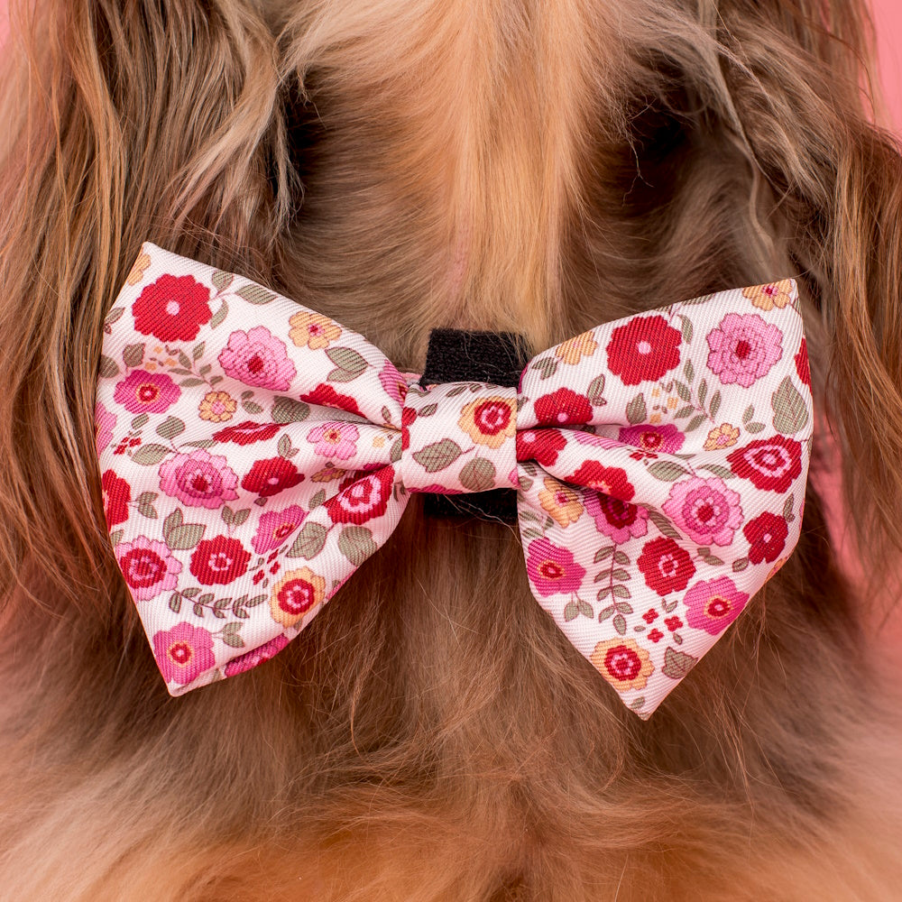 Pablo & Co Primrose Bow Tie