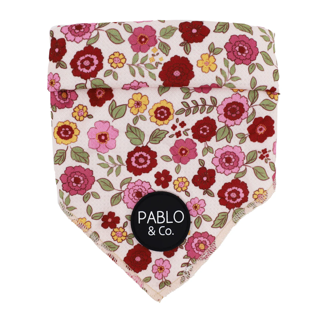 Pablo & Co Primrose Dog Bandana