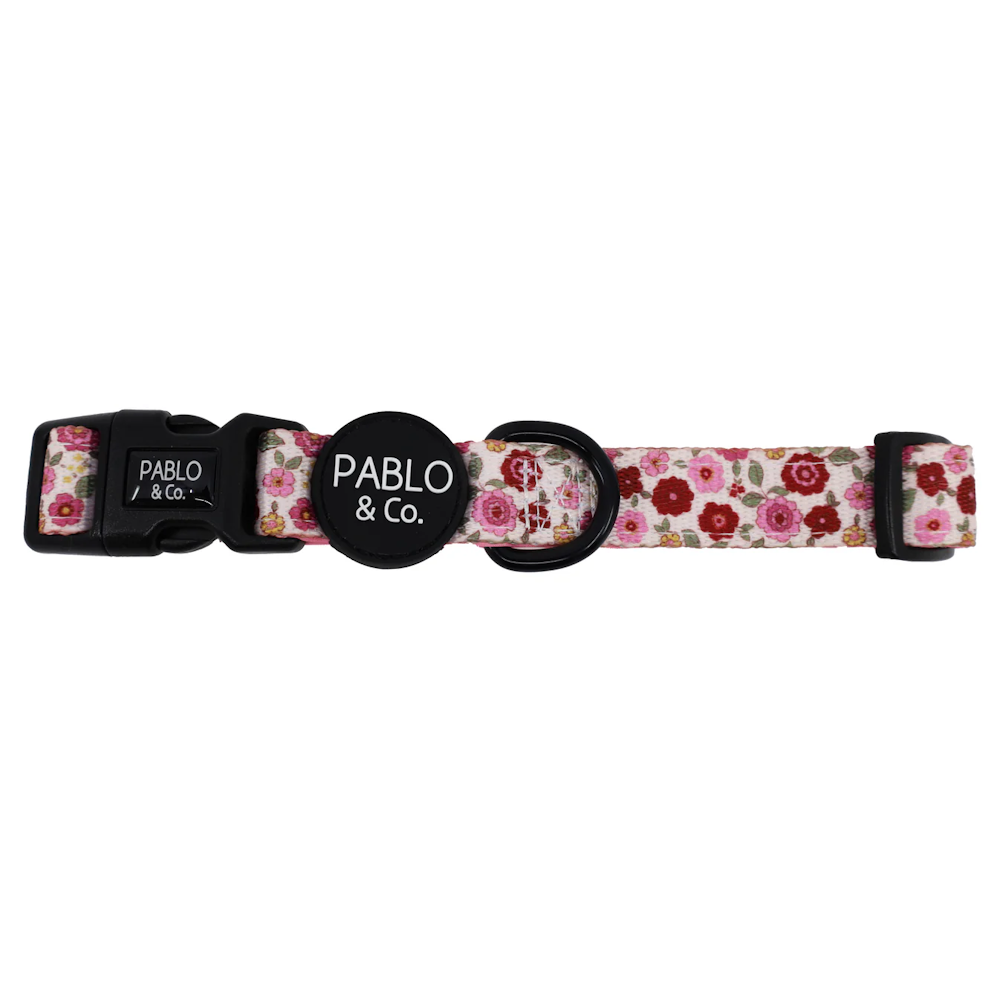 Pablo & Co Primrose Dog Collar