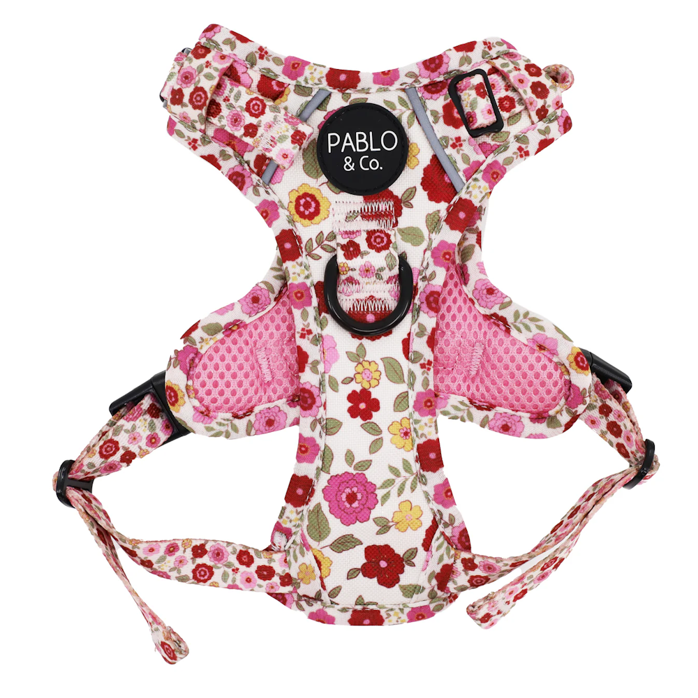Pablo & Co Primrose No Pull Adventure Harness
