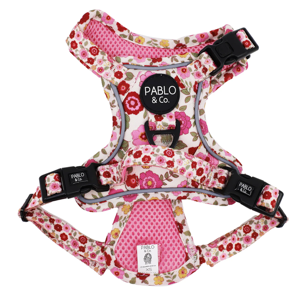 Pablo & Co Primrose No Pull Adventure Harness
