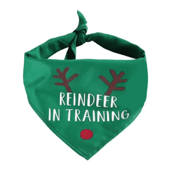 Reindeer in Training Dog Bandana