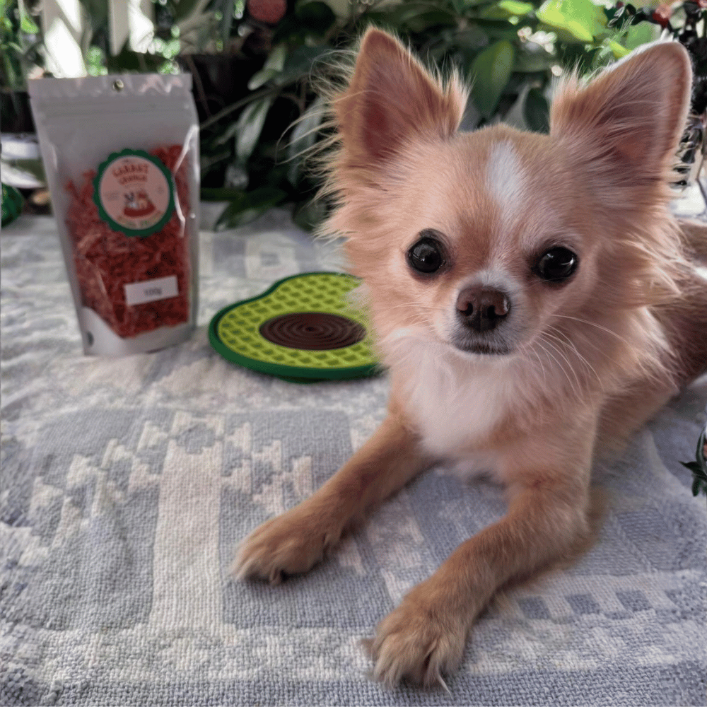 Avocado Dog Lick Mat