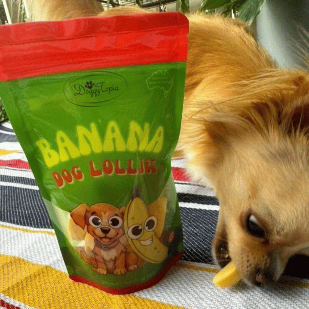 Banana Dog Lollies