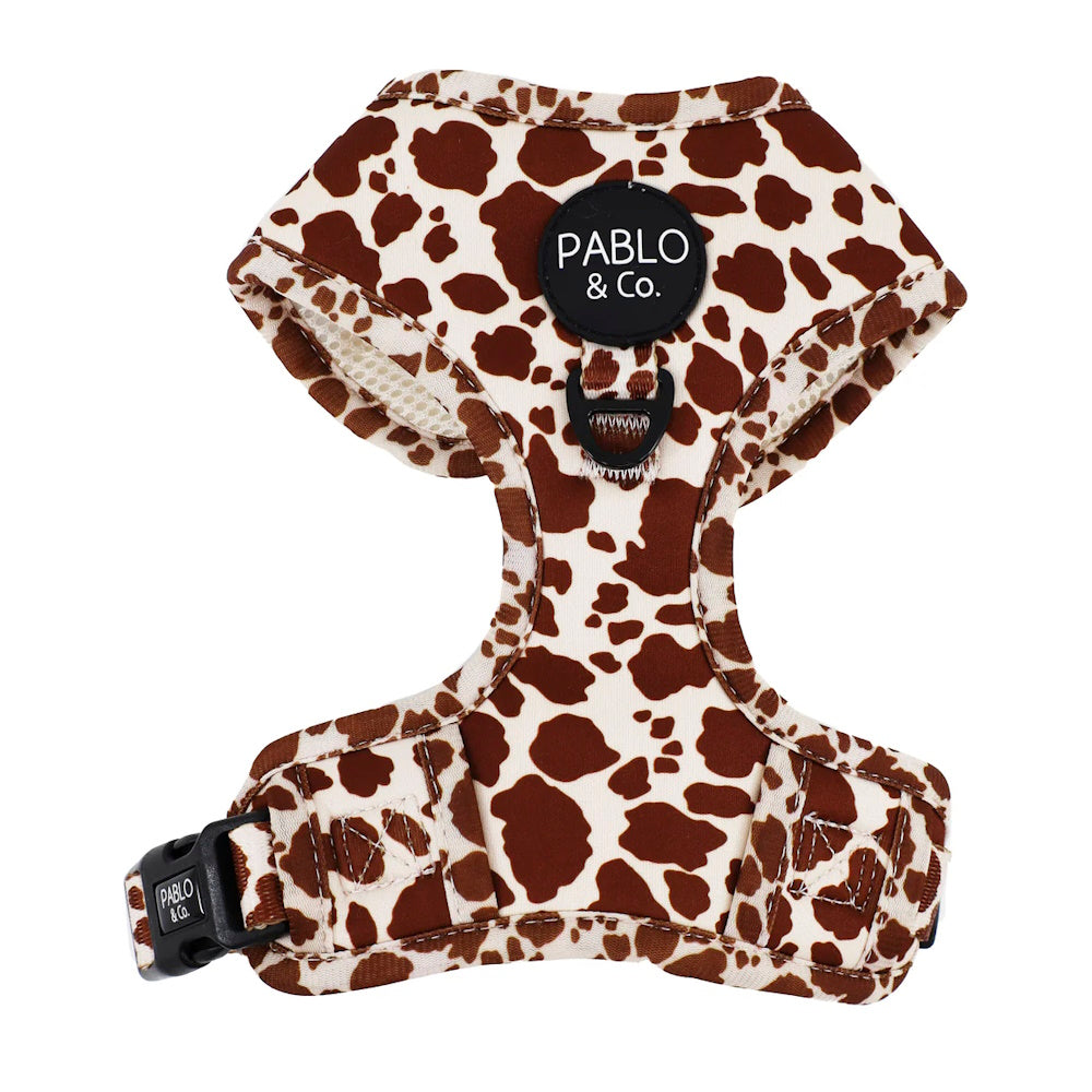 Pablo & Co Rodeo Adjustable Harness