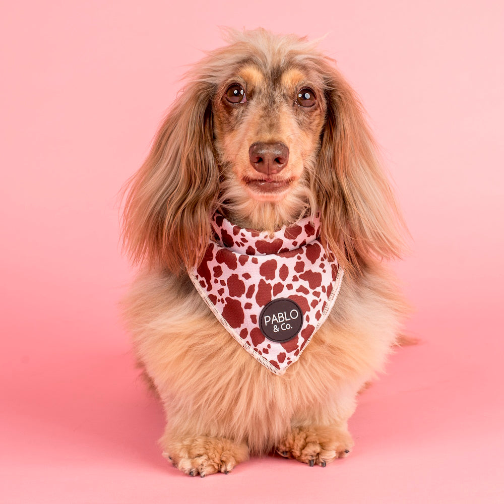 Pablo & Co Rodeo Bandana