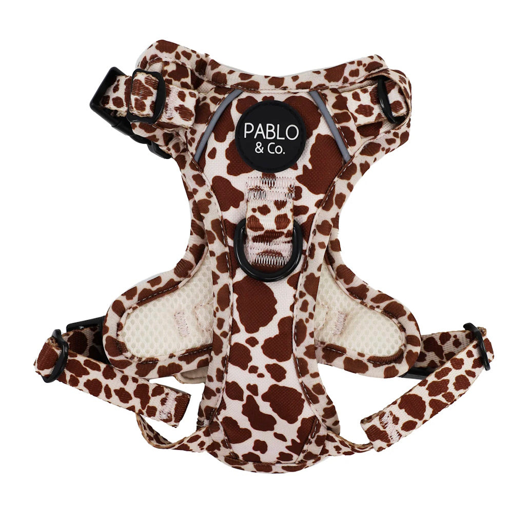 Pablo & Co Rodeo No Pull Harness