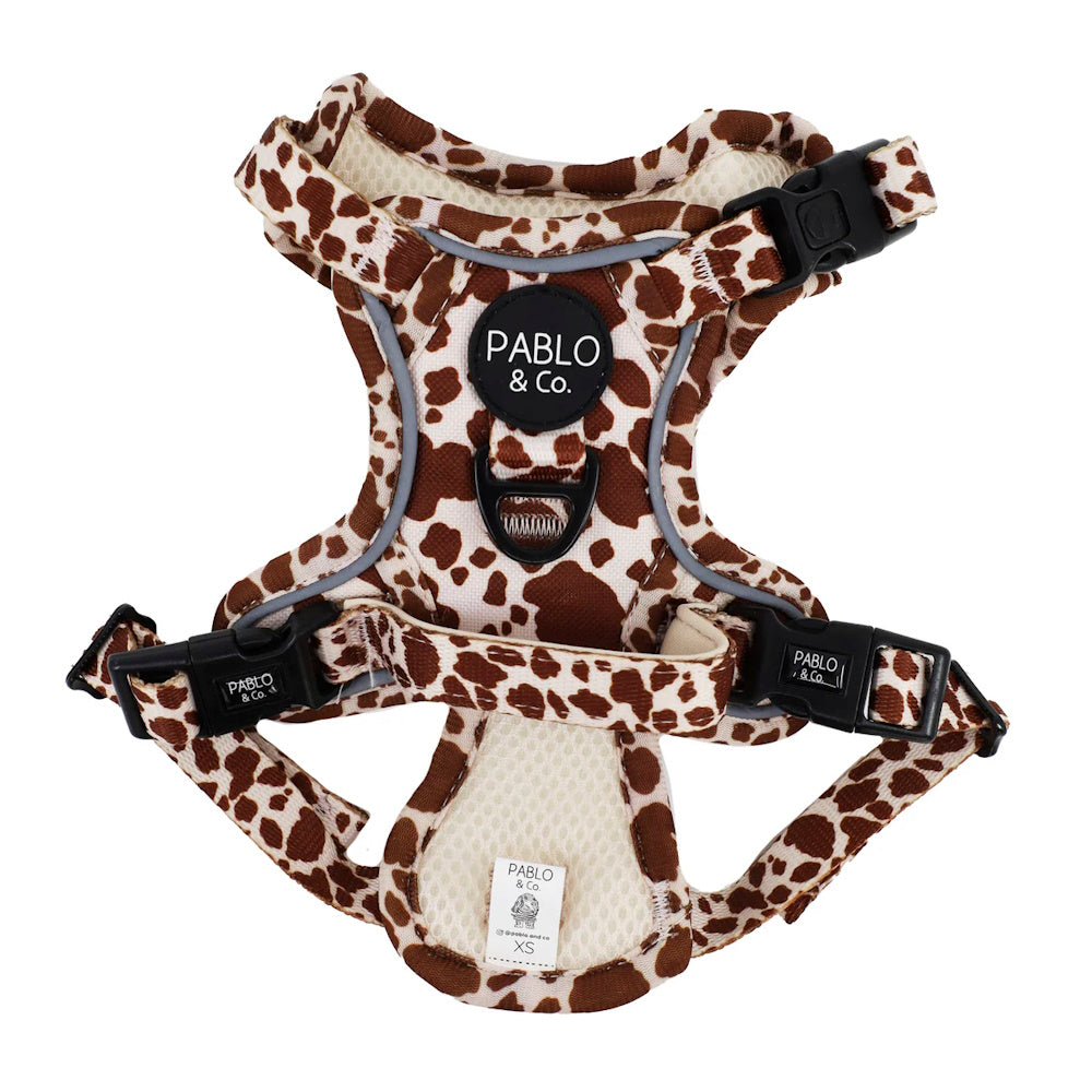 Pablo & Co Rodeo No Pull Harness