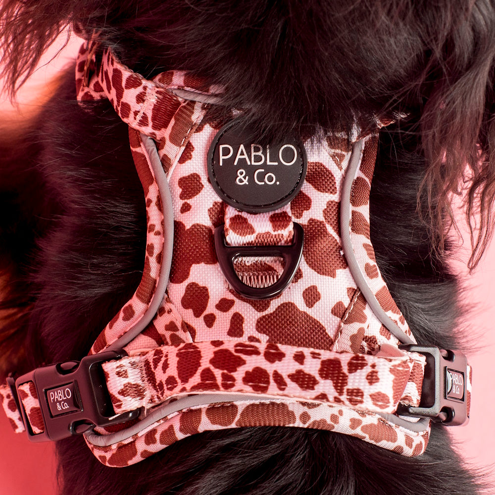 Pablo & Co Rodeo No Pull Harness