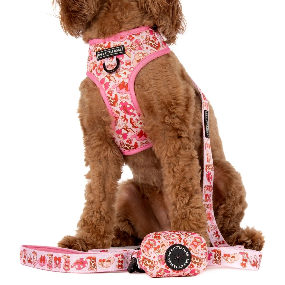 Big & Little Dogs Rodeo Queen Poop Bag Holder