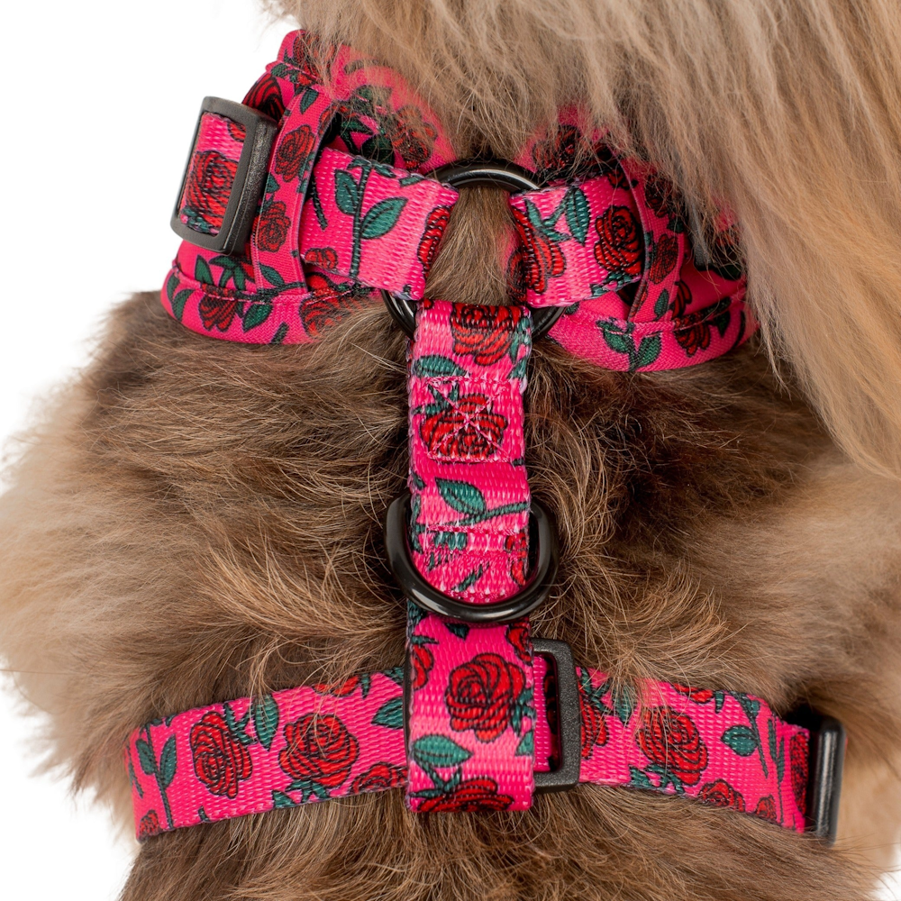 Pablo & Co Rosie Adjustable Harness