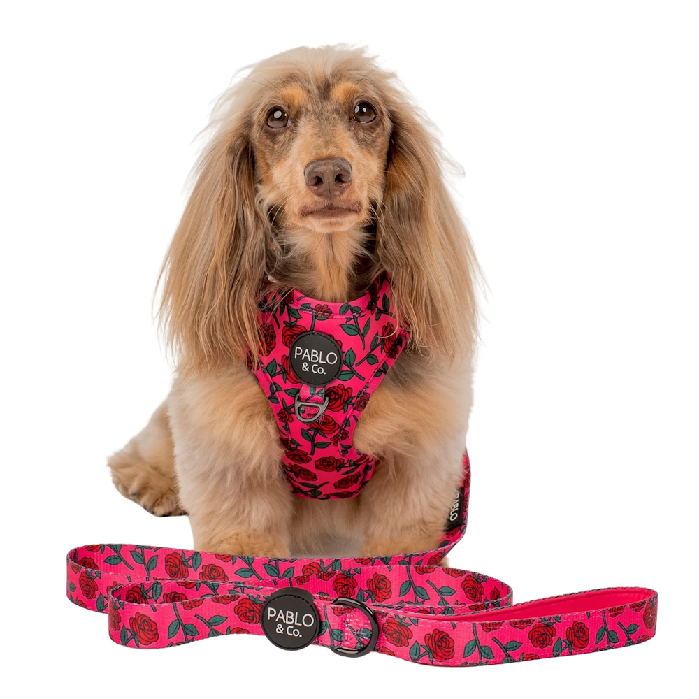 Pablo & Co Rosie Dog Leash