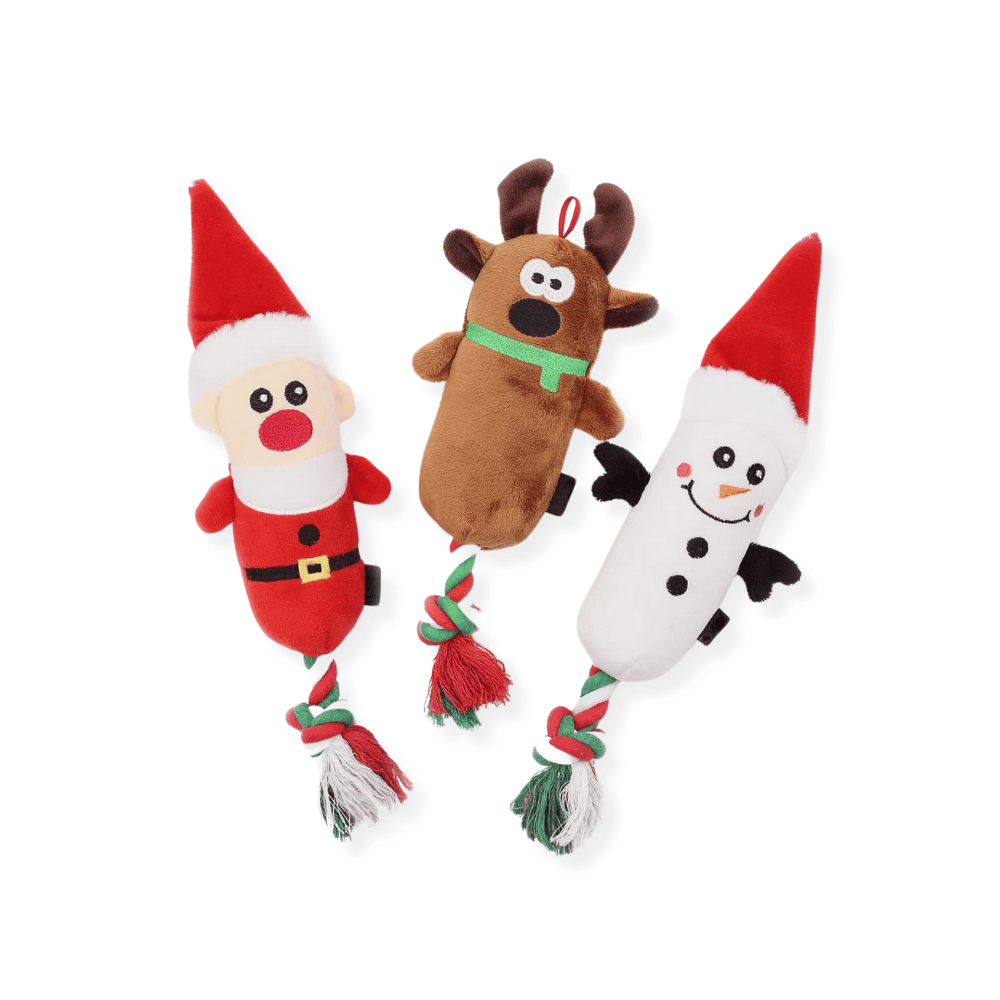 Santa Rope Tug Dog Toy