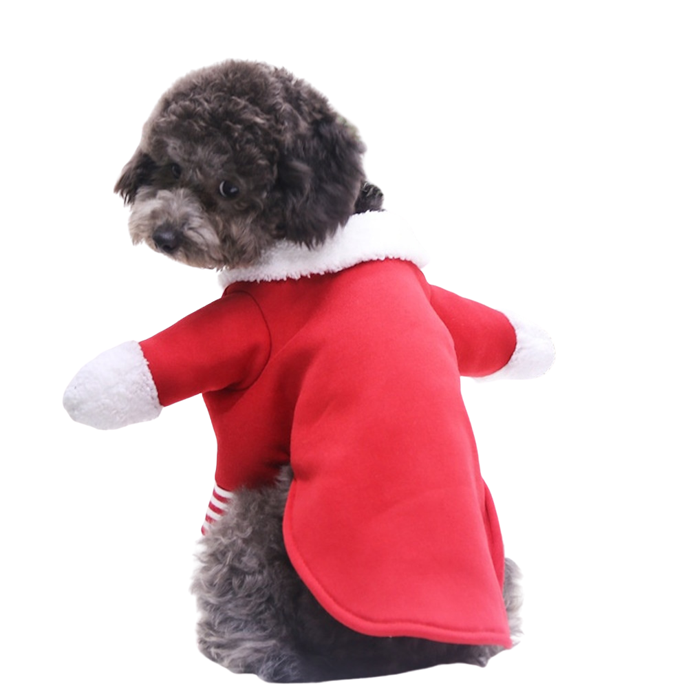 Santa Claus Upright Dog Costume