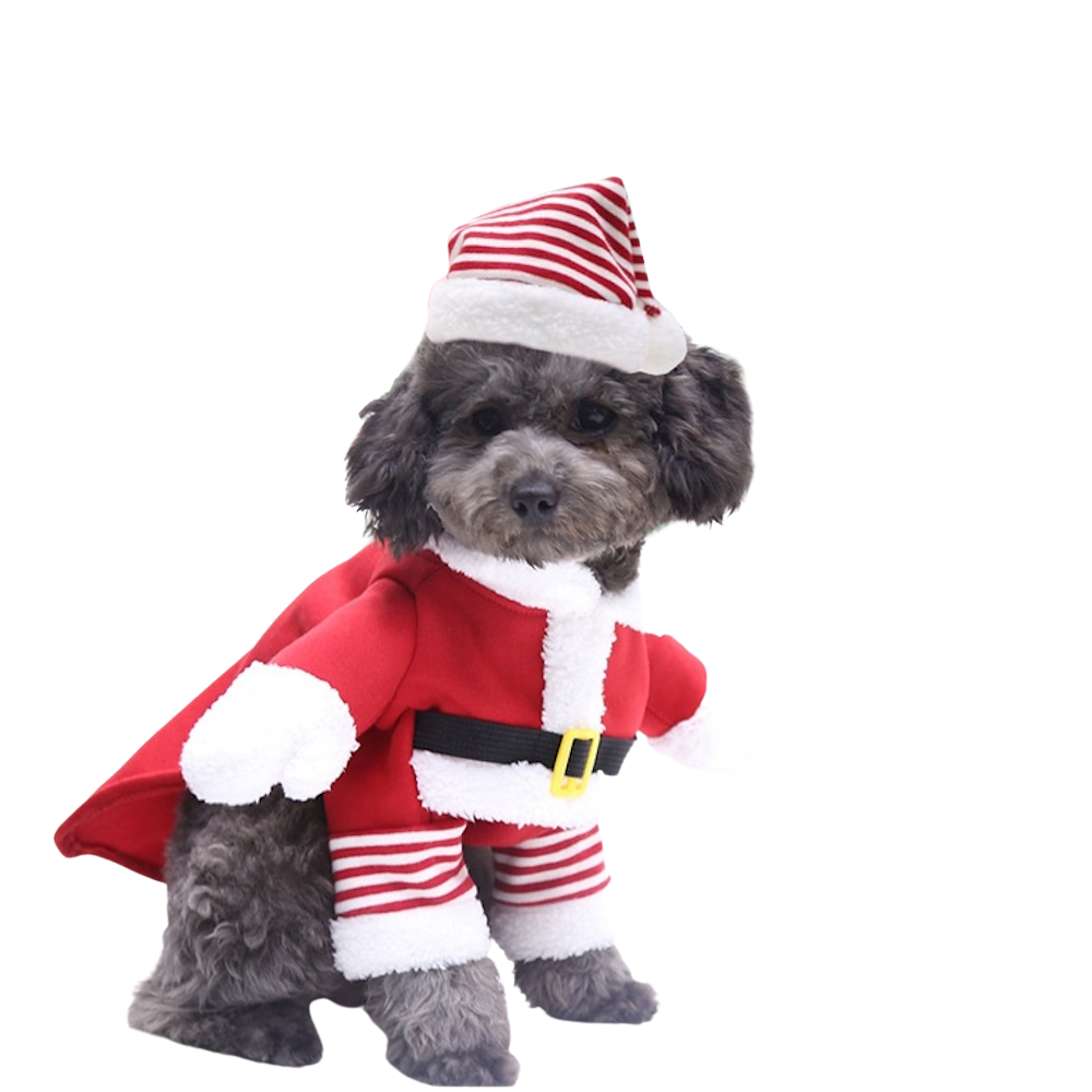 Santa Claus Upright Dog Costume