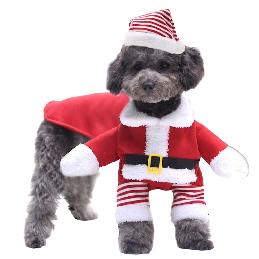 Santa Claus Upright Dog Costume