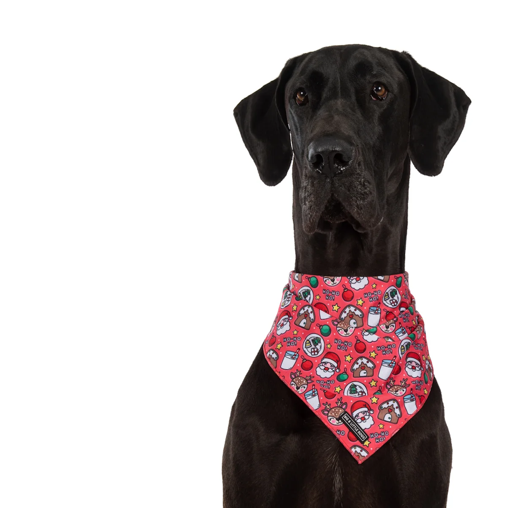 Big & Little Dogs Santa's Cookies Bandana