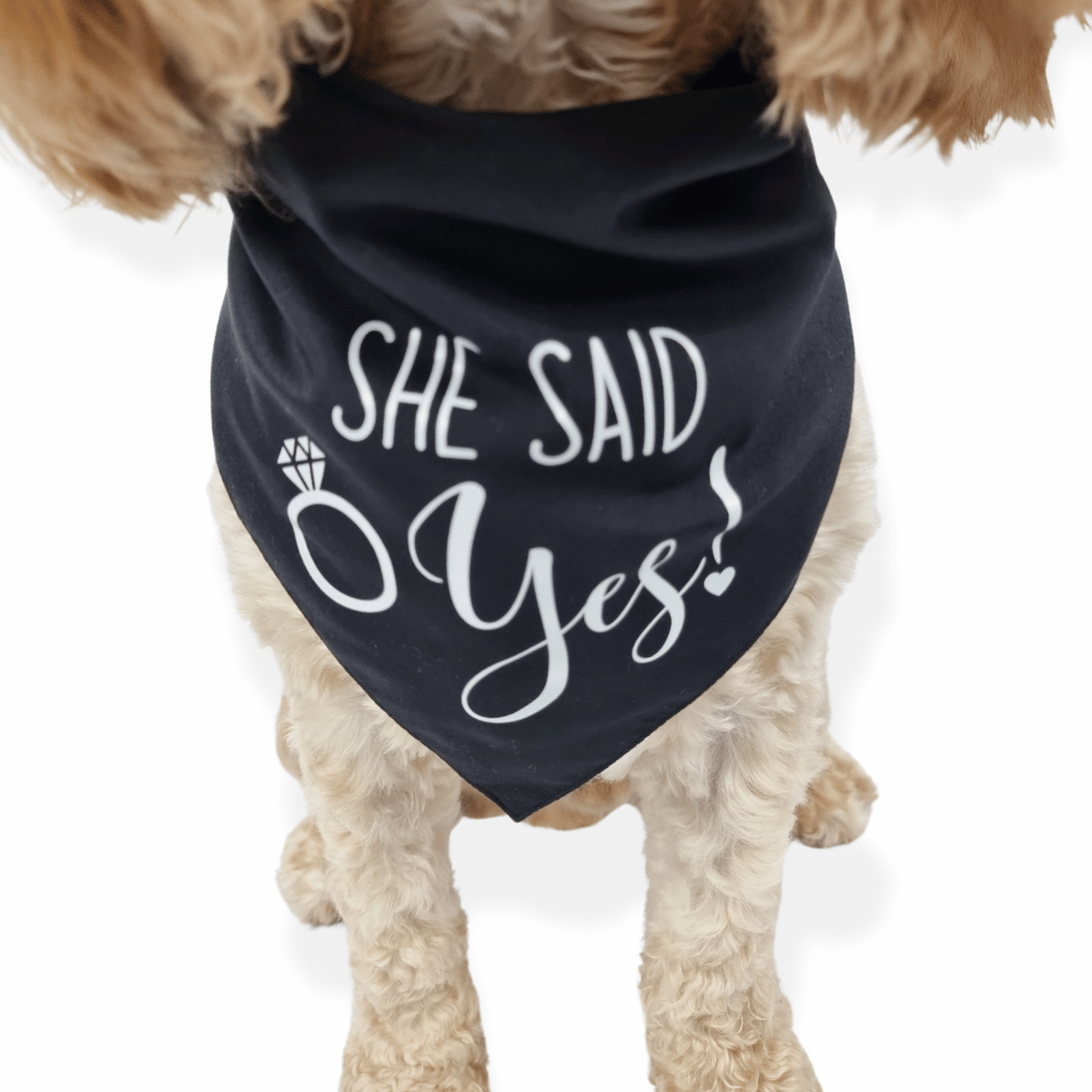 She Said Yes! Dog Wedding Bandana