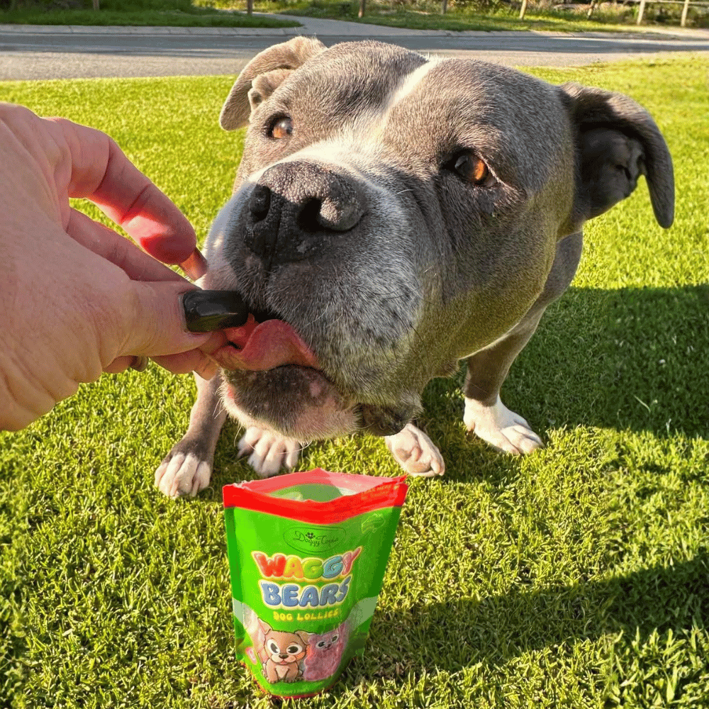 Waggy Bears Dog Lollies