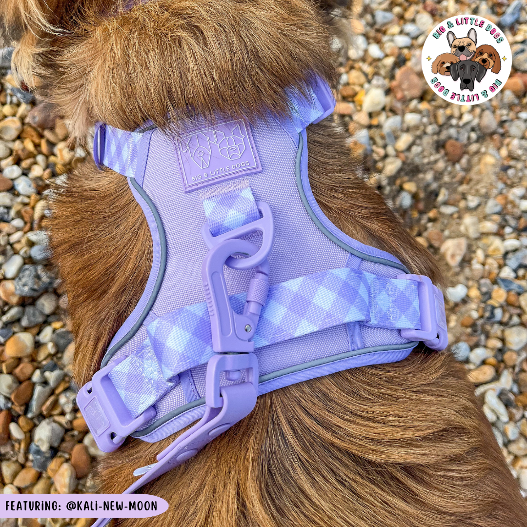 Big & Little Dogs All Rounder Harness - Purple