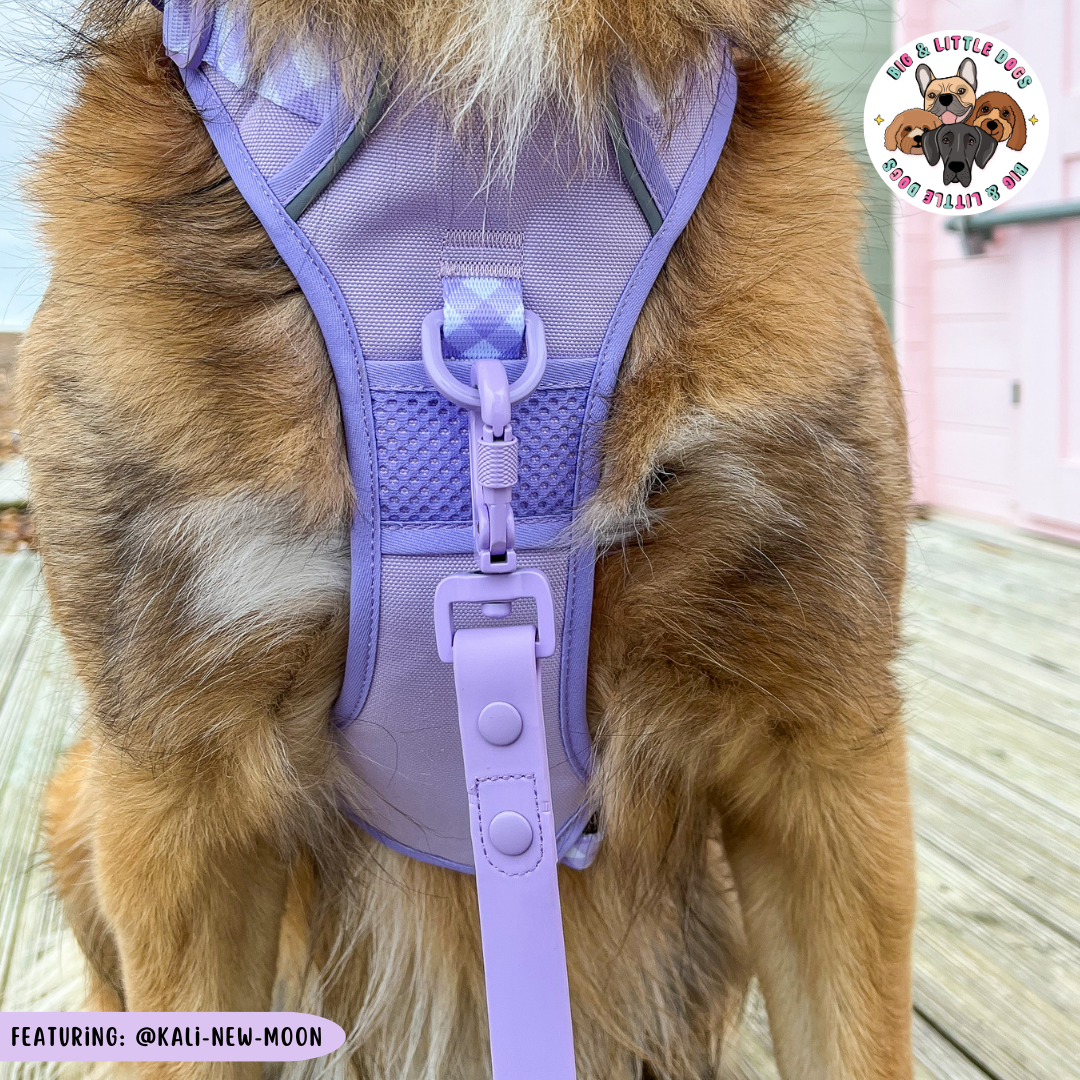 Big & Little Dogs All Rounder Harness - Purple