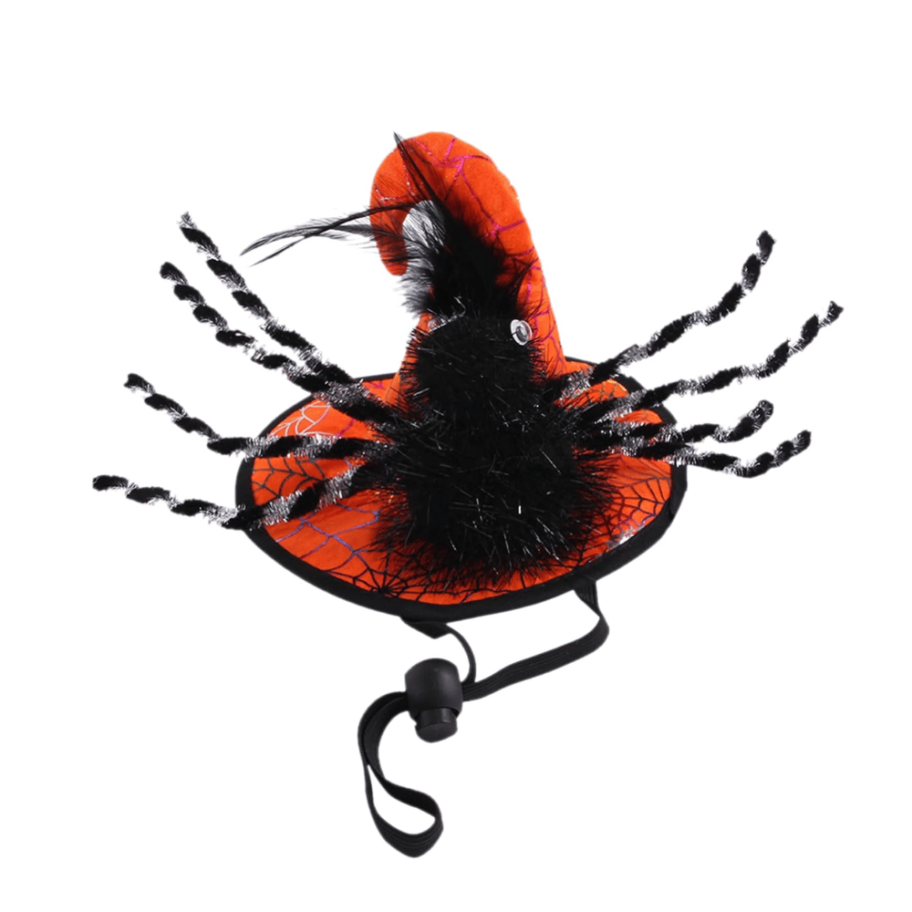 Spooky Spider Witch Dog Hat